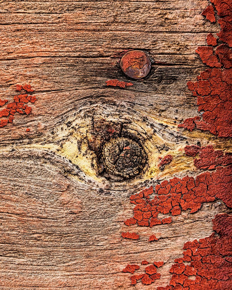 USA, Palouse, Washington State. Wood pattern.